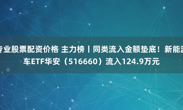 专业股票配资价格 主力榜丨同类流入金额垫底！新能源车ETF华安（516660）流入124.9万元