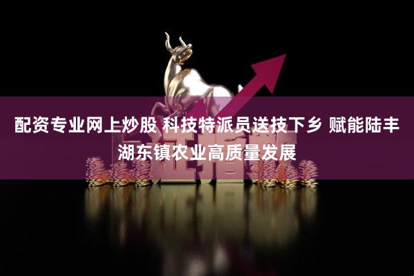 配资专业网上炒股 科技特派员送技下乡 赋能陆丰湖东镇农业高质量发展